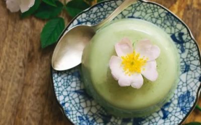 Matcha Panna Cotta