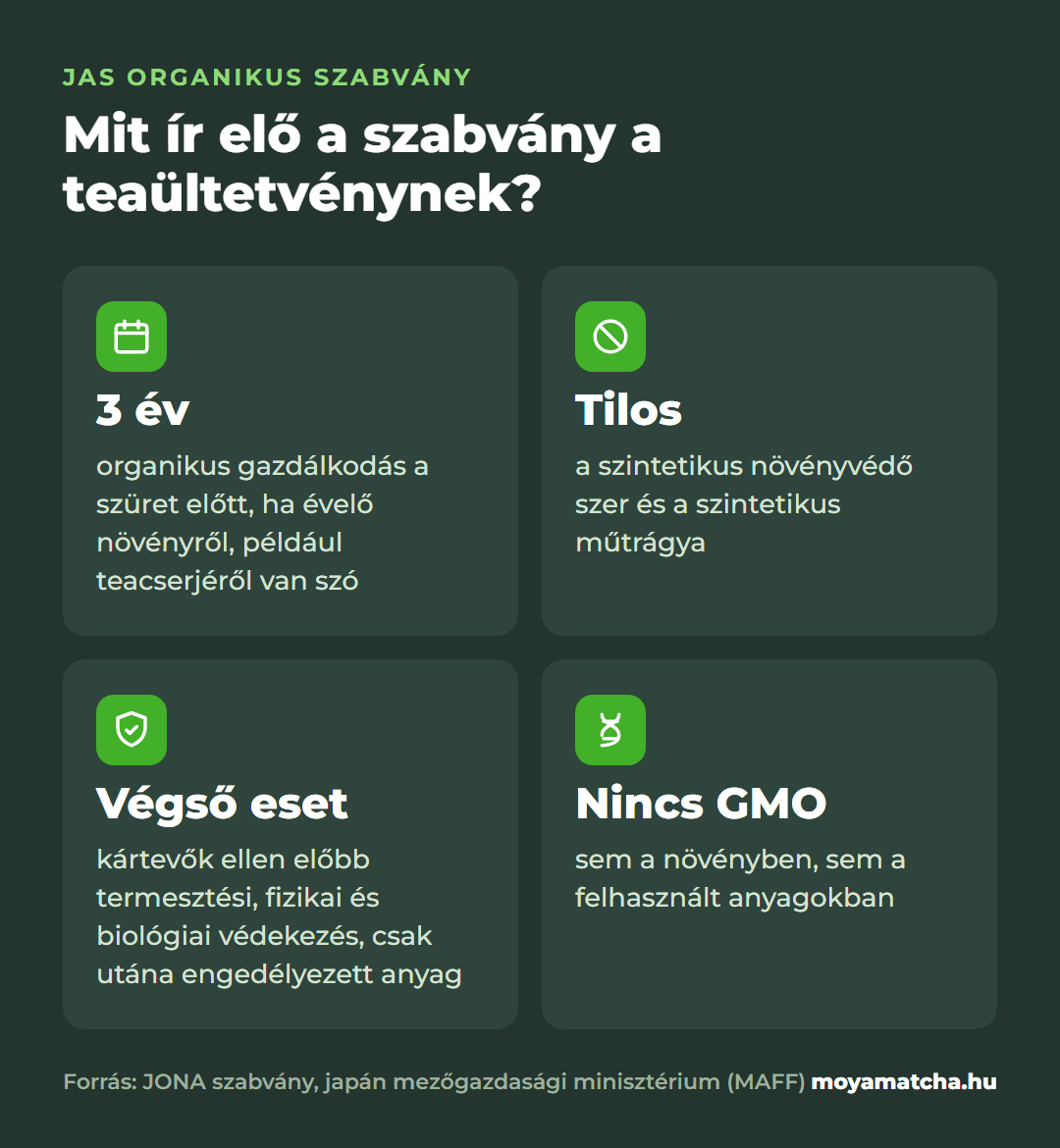 Infografika: a JAS organikus szabvány négy előírása a teaültetvényre: 3 év átállás, tilos a szintetikus növényvédő szer és műtrágya, engedélyezett anyag csak végső esetben, nincs GMO.